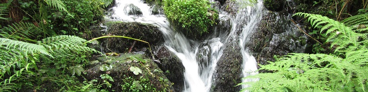 Praxis Bettina Krebber