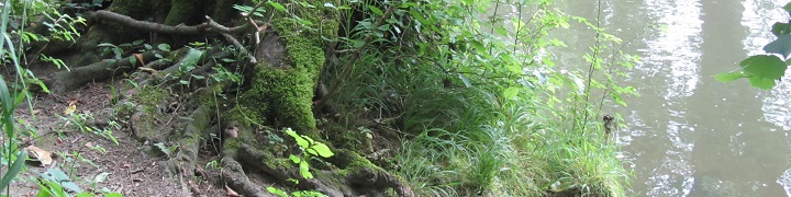 Praxis Bettina Krebber